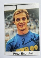 Peter Endrulat Original
