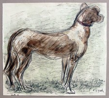 Deutscher kurzhaar jagdhund - deutscher,