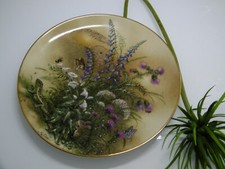 Bradex Nr. 05-L32-3.1