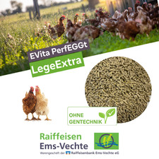 Ergänzungsfuttermittel für