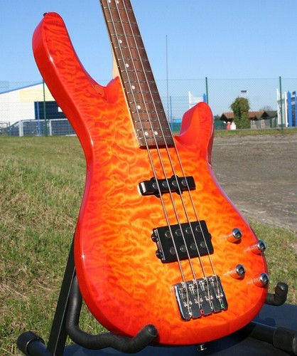 Acepro edel bass - bass, 4-saiter