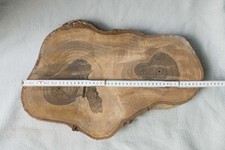 Baumscheiben bis 47 cm