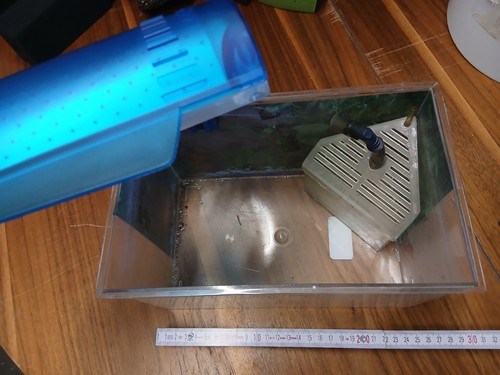 Aufzuchtbecken für brutfische - aufzuchtbecken,