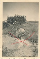 Nr. 54396  10 x Foto 2 WK