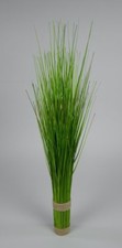 Grasbund 60cm grün DP