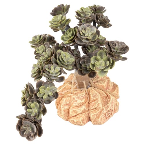 Terra della kunstpflanze sedum - della,