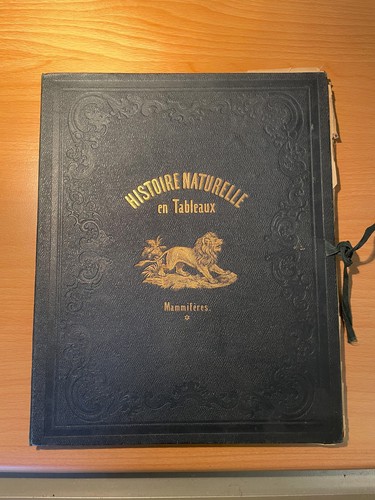 Histoire naturelle tableaux - naturelle, en