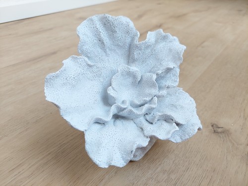 Weiße deko koralle blume - weiße,