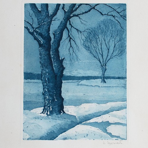 Winter landschaft schnee - winter,