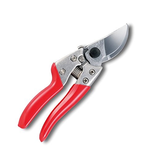 Ars astschere boje seven - astschere,
