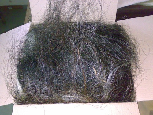 Pferdehaar - 1, kg