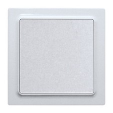 Eltako F2T55E-wg Funktaster