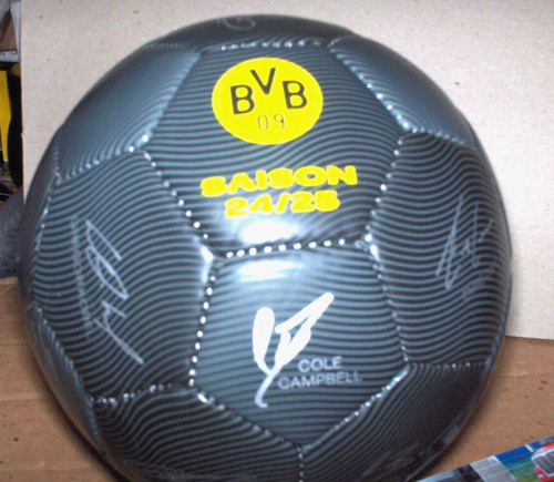 Bvb ball 1 - ball,