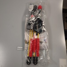 Fahrradwimpel Karl Drais Pirat