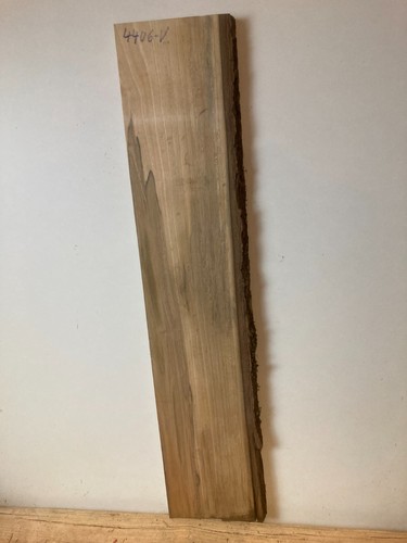 Nussbaum deutsch 22 mm - -,