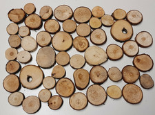 50 Astscheiben Ø  3-6 cm x 10