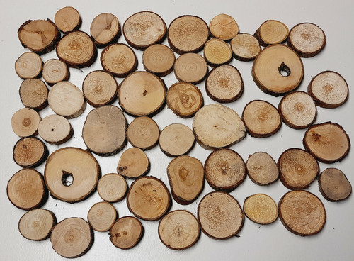 Astscheiben 6 cm x 10 - Ø,