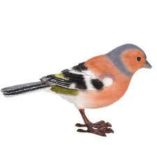 ❀  Buchfink Lebensecht 13 cm