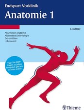 Endspurt Vorklinik: Anatomie