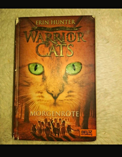 Warrior cats morgenröte - morgenröte, –
