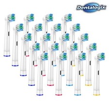 20 Aufsteckbürsten für Oral