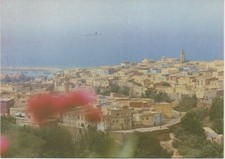 Algerien Postkarte