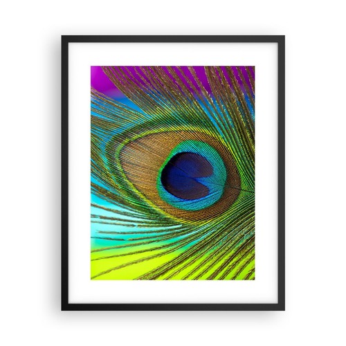 Wandbilder 40x50cm poster - wandbilder,