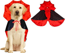 Halloween Kostüm Hund