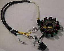 Quad ATV Lichtmaschine Haili SP 307J / Modell 2010 E-7-15 302D060