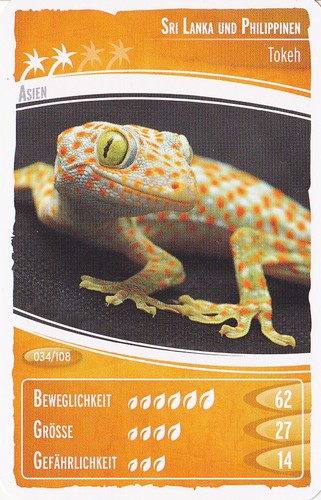Netto ozeanien - netto, "