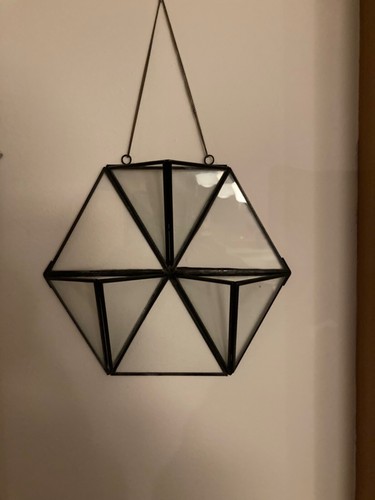 Tillandsien terrarium - tillandsien,