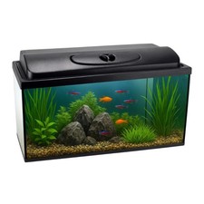 Aquarium rechteckig 60x30x30