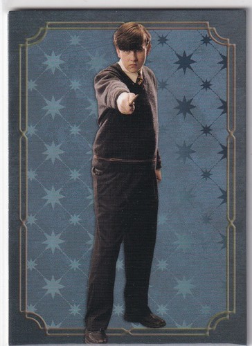 Panini harry potter evolution - harry,