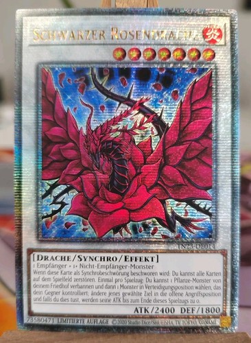 Schwarzer rosendrache - schwarzer,