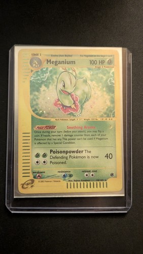 Meganium 18 - meganium, #18