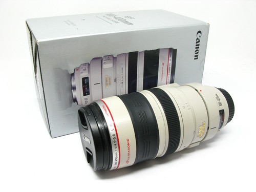 Canon 100 400mm - f4.5-5.6, l