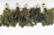 5 Bund Aquarium Wasserpflanzen Teichpflanzen, Ceratophyllum, Hornkraut 2,65€/Stk