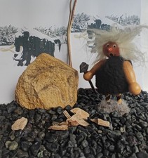 Millionen Jahre alter Findling+ Mammut Bein 7 Bruchstücke+ Smoker+Glanzfoto