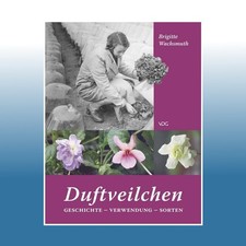 Duftveilchen | Brigitte