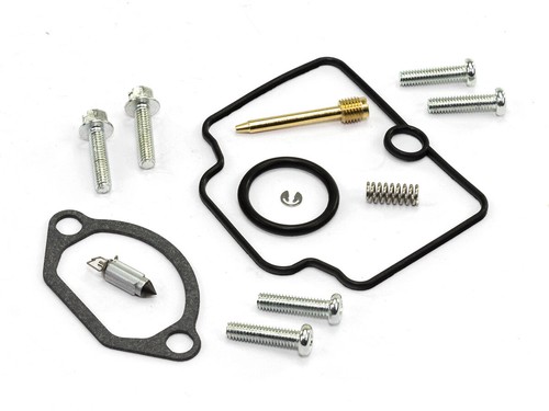Vergaser reparatur satz - vergaser,