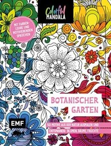 Colorful mandala - colorful,