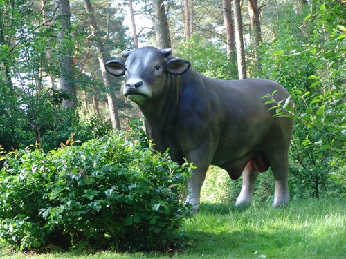 Bulle lebensgroß xxl stier - lebensgroß,