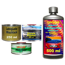 Madeiraviolett 302 für BMW