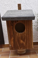 Waldkauz Eule Kauz Nistkasten