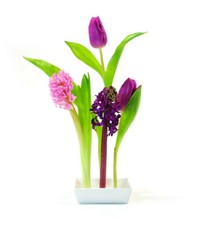 DESIGNVASE Steckvase Florida