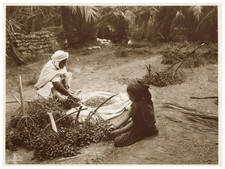 Lehnert & Landrock, Algerien