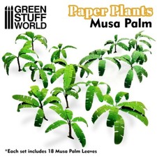 Papierpflanzen musabaum - -,