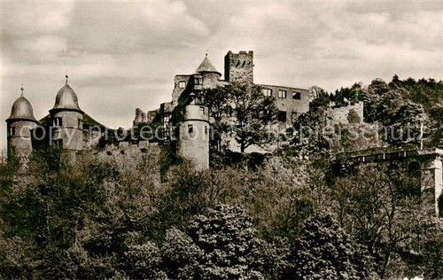 Wertheim main schlossruine - main,