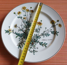 Botanica speiseteller - botanica,