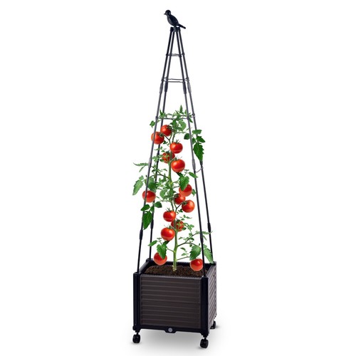 Blumenkasten mit rankhilfe - blumenkasten,